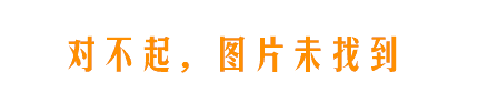 fiberviewer,端面,显微镜